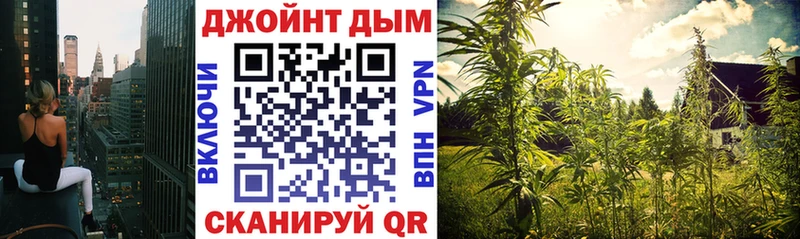 цены   Псков  Бошки Шишки ГИДРОПОН 